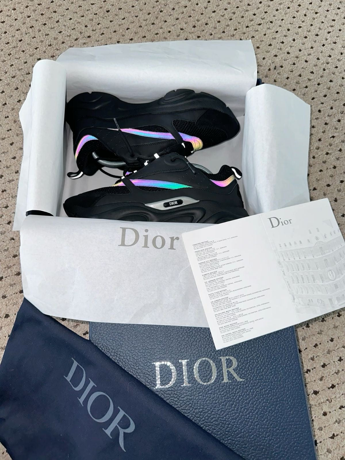 Dior B22