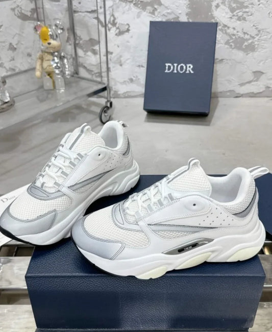Dior B22 White Grey